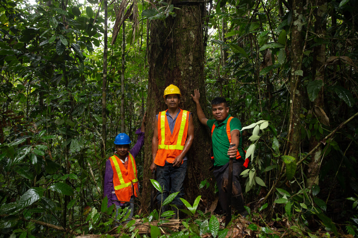 Futuro Forestal