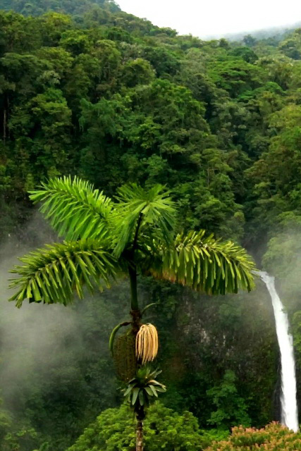 Futuro Forestal
