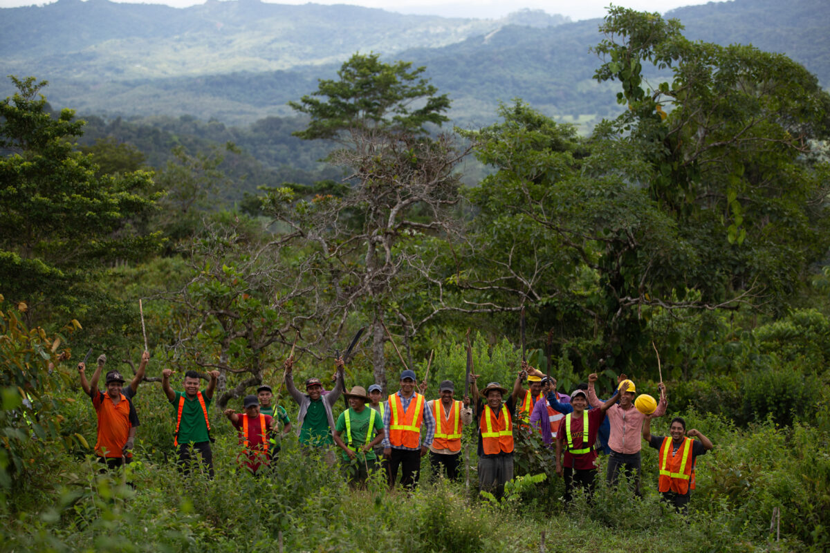 Futuro Forestal