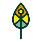 Futuro Forestal